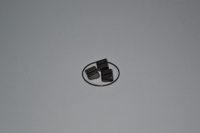 Собачки Novatec Pawls for D042SB-SS