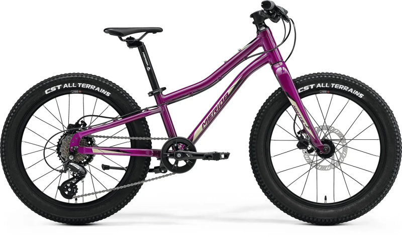 Велосипед MERIDA MATTS J.20+, PURPLE(BLACK/CHAMPAGNE)