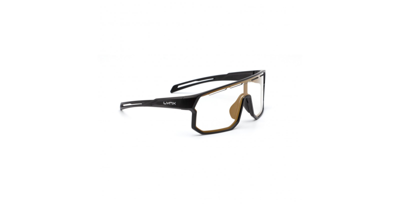 Окуляри LYNX Bismarck PH B matt black/#1 smoke photochromic with gold revo