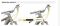 Вилка RockShox SID SL Ultimate Race Day Boost Blue